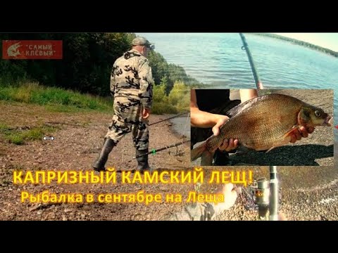 Видео: КАПРИЗНЫЙ КАМСКИЙ ЛЕЩ. ( Рыбалка в сентябре на Леща )