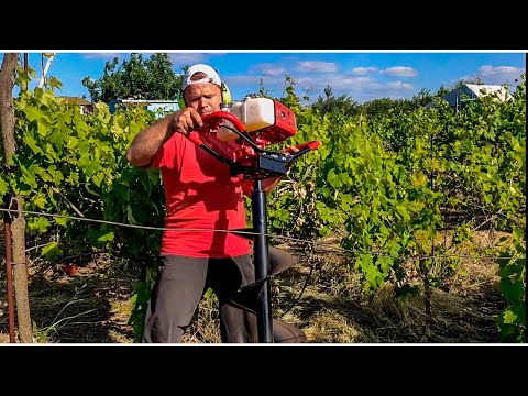 Видео: ✅Бурение бензобуром #vitals лунок. Посадка винограда под бур. doRABOTKA