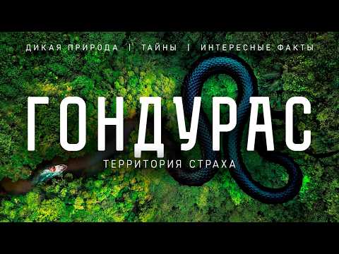 Видео: ГОНДУРАС- Территория Страха!! Мир Диких Джунглей и Древних Тайн!