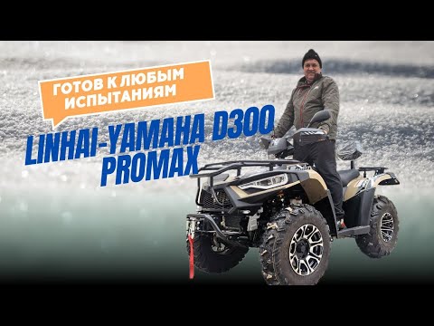 Видео: LINHAI-YAMAHA D300 PROMAX — идеальный спутник для путешествий