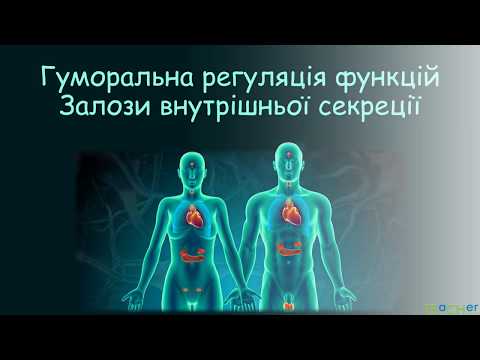 Видео: Ендокринна система. Залози внутрішньої секреції