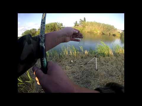 Видео: Ловля угря.  Выезд после карантина.