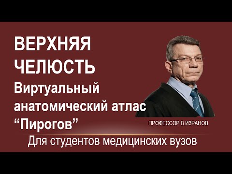 Видео: Верхняя челюсть. https://nash-pirogov.ru/