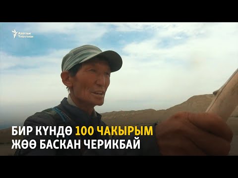 Видео: Бир күндө 100 чакырым жөө баскан Черикбай