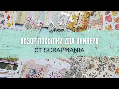 Видео: Обзор посылки для Универа от спонсора ScrapMania / Скрапбукинг