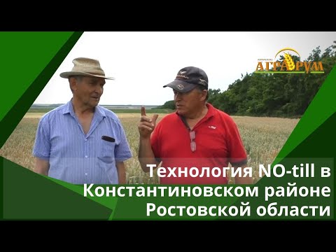 Видео: Опыт прямого посева (NO-till) в Константиновском районе Ростовской области.