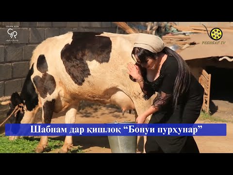 Видео: Шабнам дар қишлоқ "Бонуи пурҳунар"