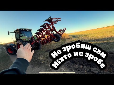 Видео: Прилетів холдинг, треба мітить територію😂Кука зелена😱жнива на новий рік🥳