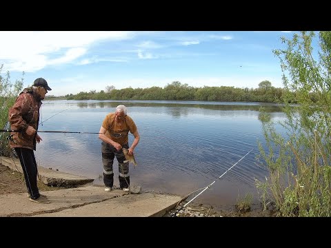 Видео: Отличная рыбалка на замечательной реке Тура г Тюмень