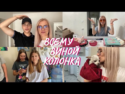 Видео: ВЛОГ. Как мы познакомились. Убрала в комоде. Добби пометили. Кира пропала.