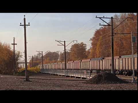 Видео: Клюквенный - Иня-Восточная | Пашинская Ветка