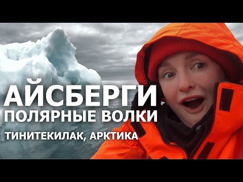 Видео: Как живут люди в Арктике? Тинитекилаак, Гренландия. Я такого еще не видела! Неожиданные находки