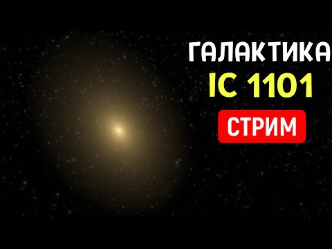 Видео: Путешествие по Галактике IC 1101 | Space Engine | Стрим
