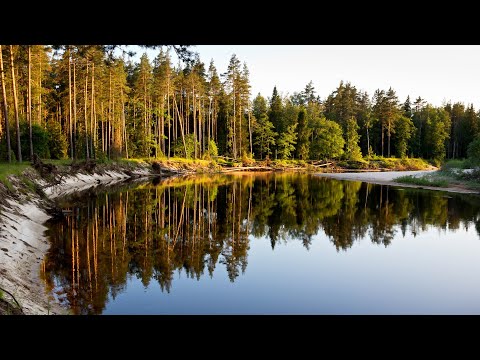 Видео: Забыл антенну. Карат, Ангара и Yaesu, КВ связь, эксперименты с антеннами. Полевой лагерь 2020.