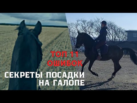 Видео: СЕКРЕТЫ уверенной посадки на ГАЛОПЕ. 11 ошибок всадника, проверь, есть ли они у тебя