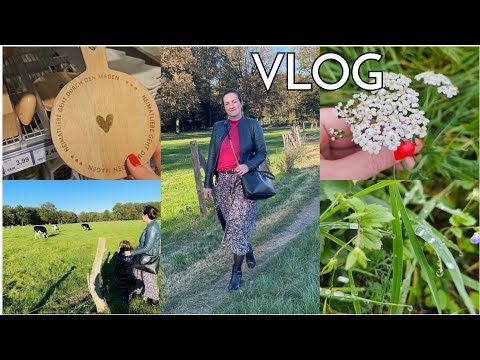 Видео: Наши СТАРЫЕ ФОТО 🥰 / Пикник / НОВИНКИ в Rossmann / ПРОГУЛКА / обзор покупок / Турецкий ДОНЕР-КЕБАБ 😋