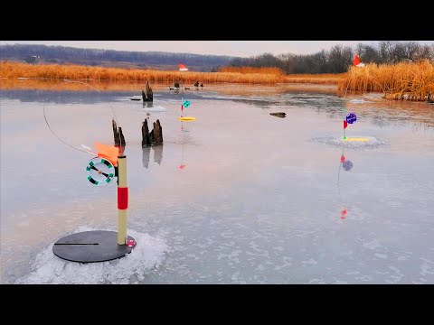 Видео: Поставил ЖЕРЛИЦЫ на Щуку в НЕЗНАКОМОМ Месте и вот что получилось. Зимняя рыбалка на жерлицы