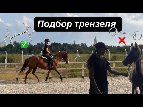 Видео: Меняем трензель + рассказываю лайфхаки  | Тайра и ее история с чомбуром