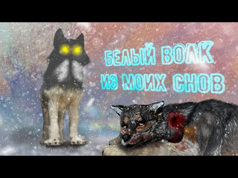 Видео: «Белый волк из моих снов» фильм // шляйх фильм // Schleich