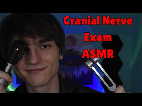 Видео: ASMR-обследование черепных нервов (РАСШИРЕННАЯ ВЕРСИЯ) | Ролевая игра «ASMR-обследование черепных...