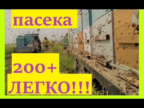 Видео: Ответы на вопросы подписчиков. Технология - разбор полетов.