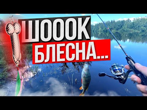 Видео: ТЕСТ НОВОЙ БЛЕСНЫ. Окунь на ШИШКУ... РАССМЕШИЛИ РЫБУ..)) РЫБАЛКА НА СПИННИНГ !!!