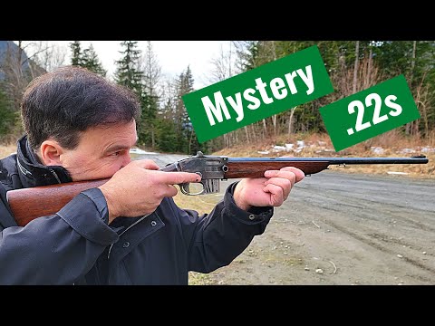 Видео: Интересные винтовки .22 калибра: сможете ли вы разгадать тайну?