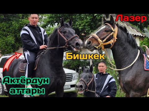 Видео: ЛАЗЕР менен Бишкек АКТёРДУН аттары 💥Бек Бостонбаев⭐️ 5 мая 2024 г.