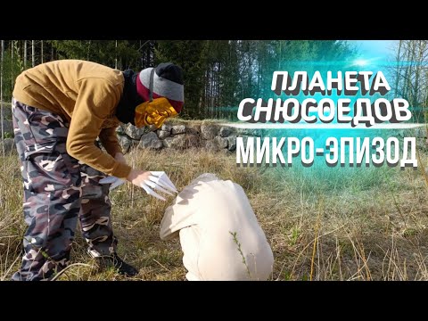 Видео: Планета Снюсоедов МИКРО-ЭПИЗОД #4: Пустырный/Хитиновый Снюсоеды | SENMEN STUDIOS