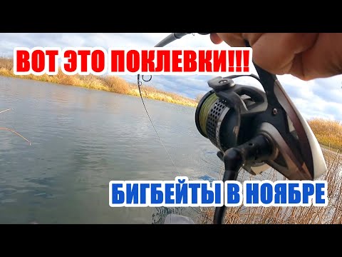 Видео: 🔴БИГБЕЙТЫ В НОЯБРЕ! ДВА ЗАБРОСА - ДВЕ ПОКЛЕВКИ КРУПНЫХ ЩУК!