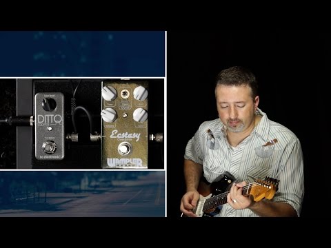 Видео: Укрощение Ditto Looper для блюзовой гитары (Texas Blues Alley Guide)