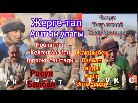 Видео: Аштын улагы кайнады