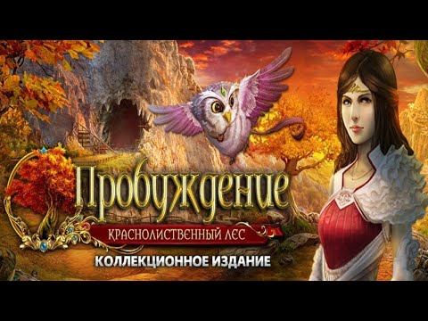 Видео: Пробуждение. Краснолиственный лес.