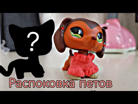 Видео: распаковка петов с озона \Lps фигурки / что с тоячкой ?