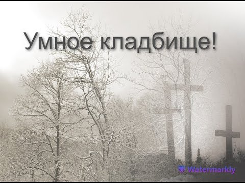 Видео: ЕСЛИ ФОТО ЖИВОГО ЧЕЛОВЕКА ОКАЗАЛОСЬ В ГРОБУ!