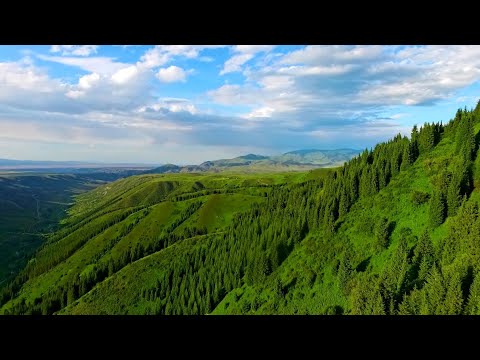 Видео: Красивое ущелье неподалеку от Кольсайских озёр