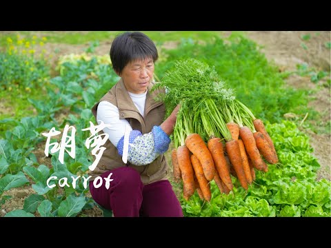 Видео: Из моркови получится четыре вида выпечки: зеленая, пушистая, мягкая, клейкая и сладкая!