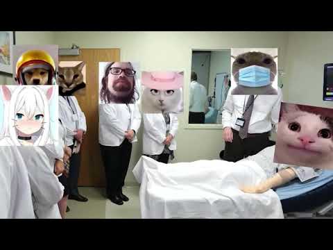 Видео: белуга сборник @TXPStudio