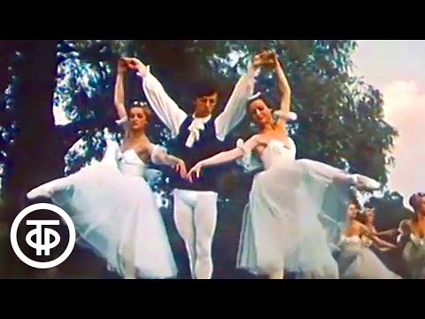 Видео: Павловские музы. Хореографические миниатюры (1972)