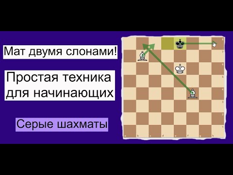 Видео: САМЫЙ ПРОСТОЙ СПОСОБ поставить мат двумя слонами!