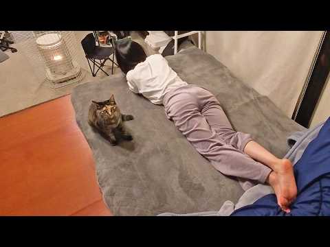 Видео: Жизнь в японском загородном доме с моим разговорчивым котом | EcoFlow