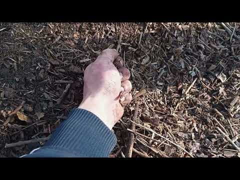 Видео: Компост из веток.