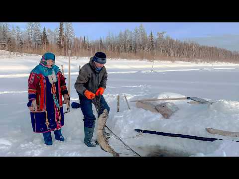 Видео: Река Сыня - дорога жизни рыбаков | Тут султам