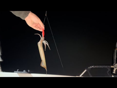 Видео: Ловля владивостокского кракена (кальмар) | Морская рыбалка | Squid fishing