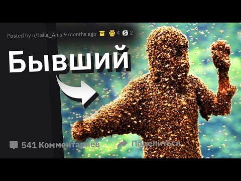 Видео: Натравила На Бывшего 1000 ПЧЁЛ. ЭПИЧНЫЕ Истории Мести #7