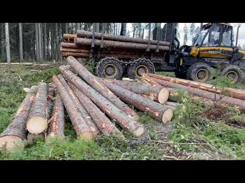 Видео: ученик на форвардере ponsse elephant