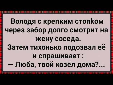 Видео: Как Володя с Женой Соседа Грешил! Сборник Свежих Анекдотов! Юмор!