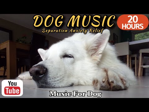 Видео: 20 часов любимой музыки собак🐶💖Музыка для сна собак 🐶🎵 Музыка для снятия беспокойства при разлуке🎵
