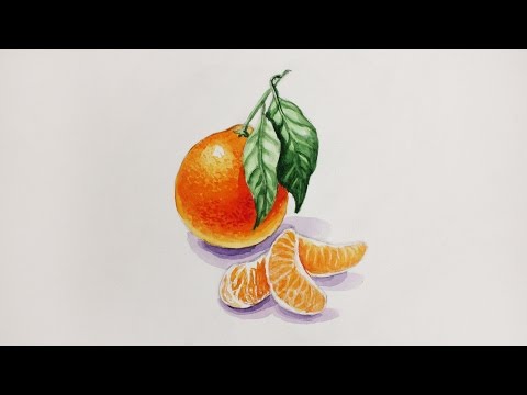 Видео: Уроки рисования. Как нарисовать мандарин how to draw a mandarin