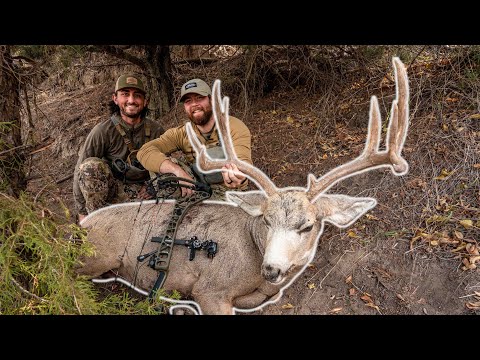 Видео: Стрельба по оленю с расстояния 5,2 ярда